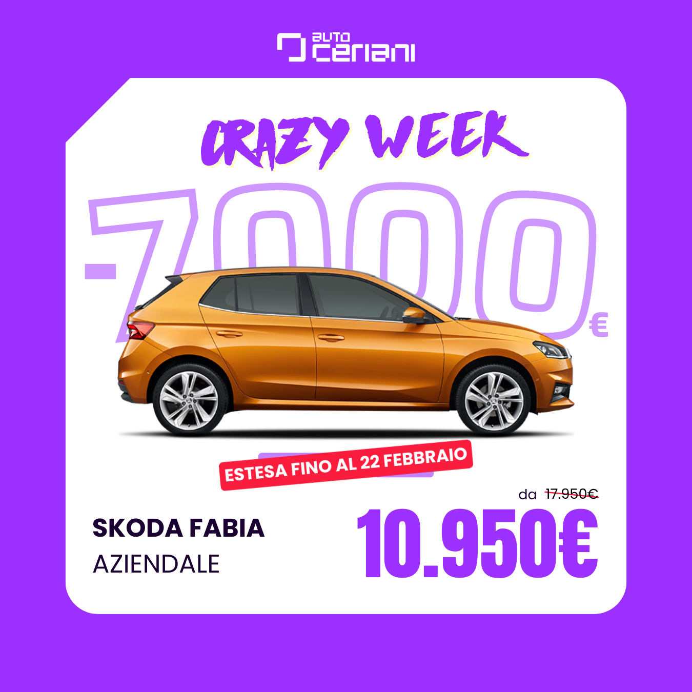 SKODA FABIA AZIENDALE_post